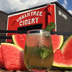 Urban Tree Cidery brews unique, local flavors