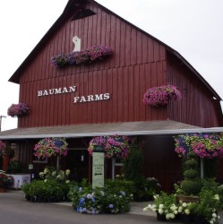 Bauman Harvest Festival – October 8th & 9th for a Cider Festival and Competition