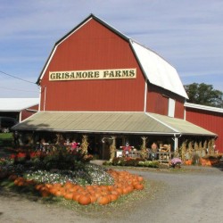 Brothers brew hard cider at Grisamore Farms in Locke, NY