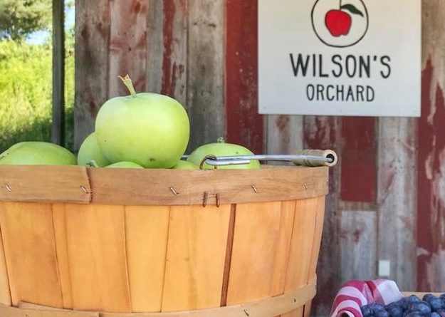 Wilson’s Orchard Purchases Sutliff Hard Cider Brand