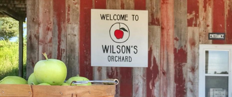 wilsonorchardbanner