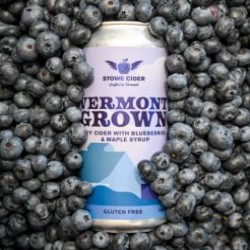 Stowe Cider Releases Vermont Grown Blueberry & Maple Syrup Cider