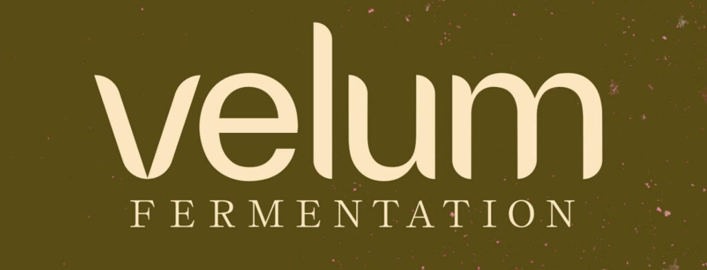 How Velum Fermentation Turned Nearly 10,000 Pounds of Rescued Berries Into Hard Cider
