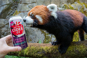 Portland Cider Rolls Out Red Panda-Themed Pacific Berry to Support Oregon Zoo’s Newest Arrivals